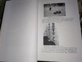 中国电视剧影像叙事论 （博士论文 博士 刘婷）