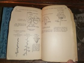 A GUIDE TO THE WILD FLOWERS   East of the Mississippi and North of Virginia     密西西比州东部和弗吉尼亚州北部  野花指南   [1928年格林伯格出版社出版]