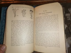 A GUIDE TO THE WILD FLOWERS   East of the Mississippi and North of Virginia     密西西比州东部和弗吉尼亚州北部  野花指南   [1928年格林伯格出版社出版]