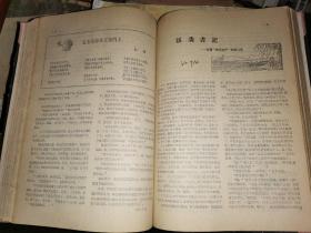 文艺红旗   1959年全12期      补图