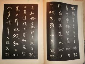 魏振皆书法艺术 （序言前有书法名家 毛笔题字 详见图片）