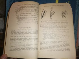 A GUIDE TO THE WILD FLOWERS   East of the Mississippi and North of Virginia     密西西比州东部和弗吉尼亚州北部  野花指南   [1928年格林伯格出版社出版]