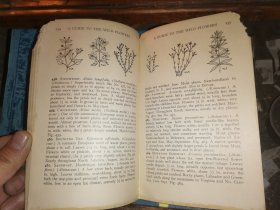 A GUIDE TO THE WILD FLOWERS   East of the Mississippi and North of Virginia     密西西比州东部和弗吉尼亚州北部  野花指南   [1928年格林伯格出版社出版]