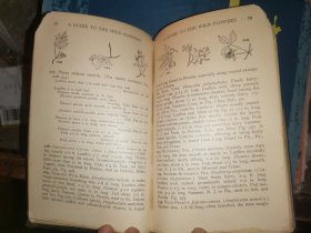 A GUIDE TO THE WILD FLOWERS   East of the Mississippi and North of Virginia     密西西比州东部和弗吉尼亚州北部  野花指南   [1928年格林伯格出版社出版]