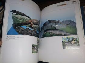 中国科大附中 野生动物标本馆