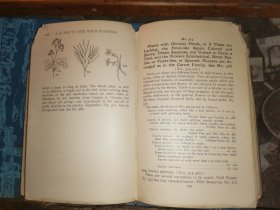 A GUIDE TO THE WILD FLOWERS   East of the Mississippi and North of Virginia     密西西比州东部和弗吉尼亚州北部  野花指南   [1928年格林伯格出版社出版]