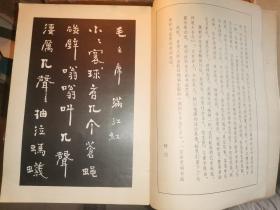 魏振皆书法艺术 （序言前有书法名家 毛笔题字 详见图片）