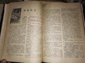 文艺红旗   1959年全12期      补图