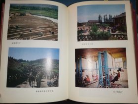 东乡族自治县概况