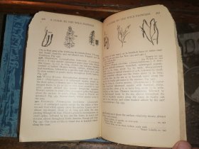 A GUIDE TO THE WILD FLOWERS   East of the Mississippi and North of Virginia     密西西比州东部和弗吉尼亚州北部  野花指南   [1928年格林伯格出版社出版]