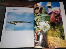 中国科大附中 野生动物标本馆