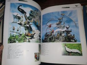 中国科大附中 野生动物标本馆