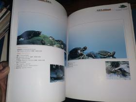 中国科大附中 野生动物标本馆