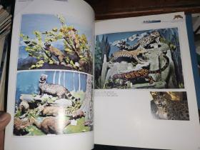 中国科大附中 野生动物标本馆