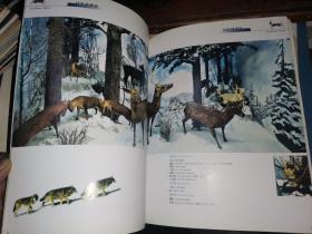 中国科大附中 野生动物标本馆