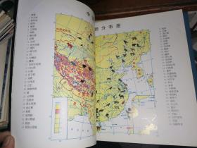 中国科大附中 野生动物标本馆