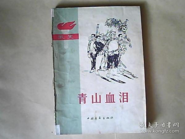 家史《青山血泪》（内页插图精美）