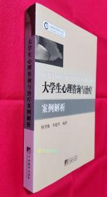 大学生心理咨询与治疗案例解析（全新，无塑封）【赠：《大学生心理健康教程》1本】