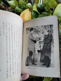 現代支那史，蒋介石と国民党政府，多照片图片