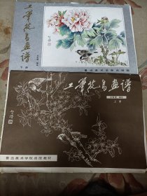 工笔花鸟画谱 上下册（8开活页 上册50张全，下册35张全）下册没啥大问题--上册见图和描述