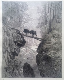 【古斯塔夫·多雷 Doré木刻版画】“多雷画廊”系列木版画1880年《两只山羊》—法国画家“古斯塔夫·多雷(Gustave Doré,1832-1883）”作品 尺寸：32x25cm