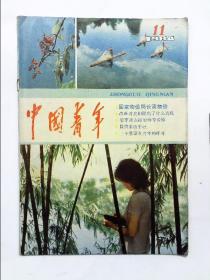 中国青年 1984年第11期