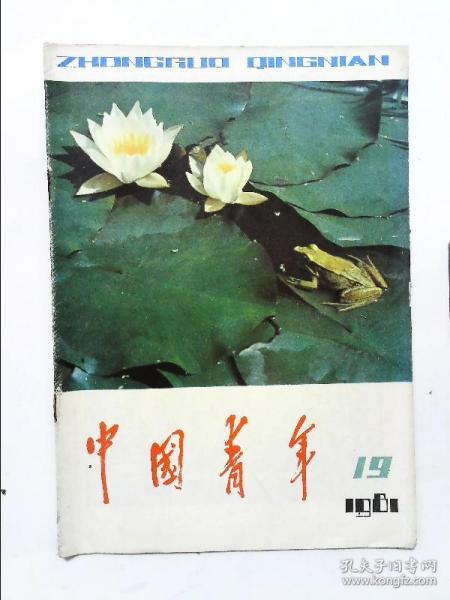 中国青年 1981年第19期