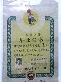 广东省小学毕业证书·1962年广州逢源正街小学
