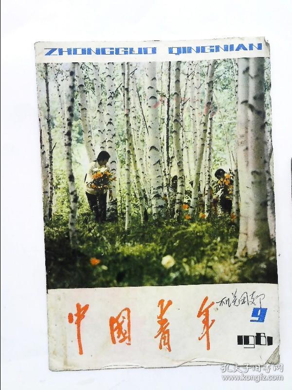 中国青年 1981年第9期