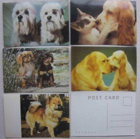 世界名犬明信片