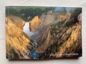 YELLOWSTONE（黄石公园） 明信片