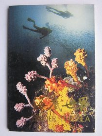 海底世界 明信片