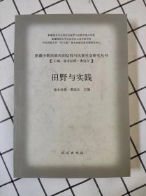 新疆少数民族民间信仰与民族社会研究丛书：田野与实践（库存书未翻阅）