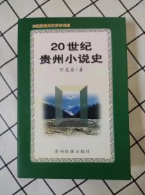 20世纪贵州小说史（库书未翻阅）*