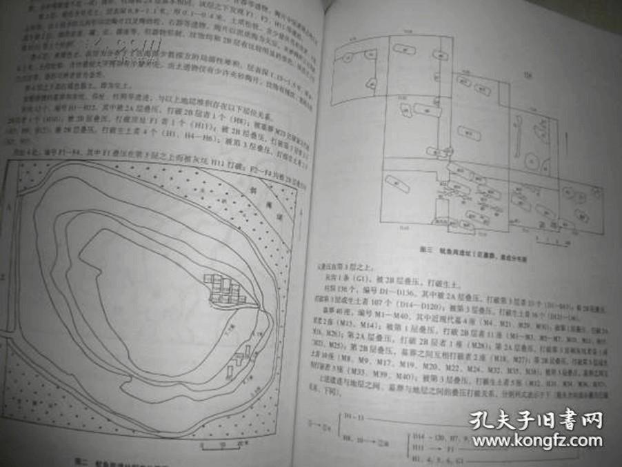 广东省文物考古研究所建所十周年文集 （库存新书未翻阅品佳）