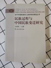 民族过程与中国民族变迁研究（库存书未翻阅）