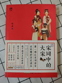 宋词中的大宋（库存书未翻阅）x
