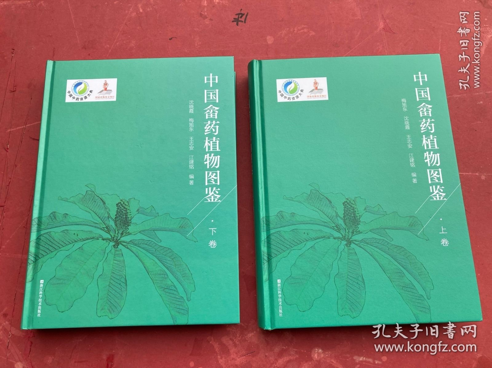 中国畲药植物图鉴（上下卷 全套）【两厚册合售】精装大开本 全新 确保正版现货"