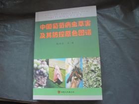中国葡萄病虫草害及其防控原色图谱