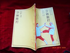 少林功夫丛书：少林散打