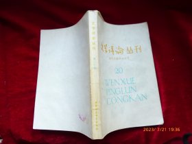 文学评论丛刊（当代作家评论专号）20