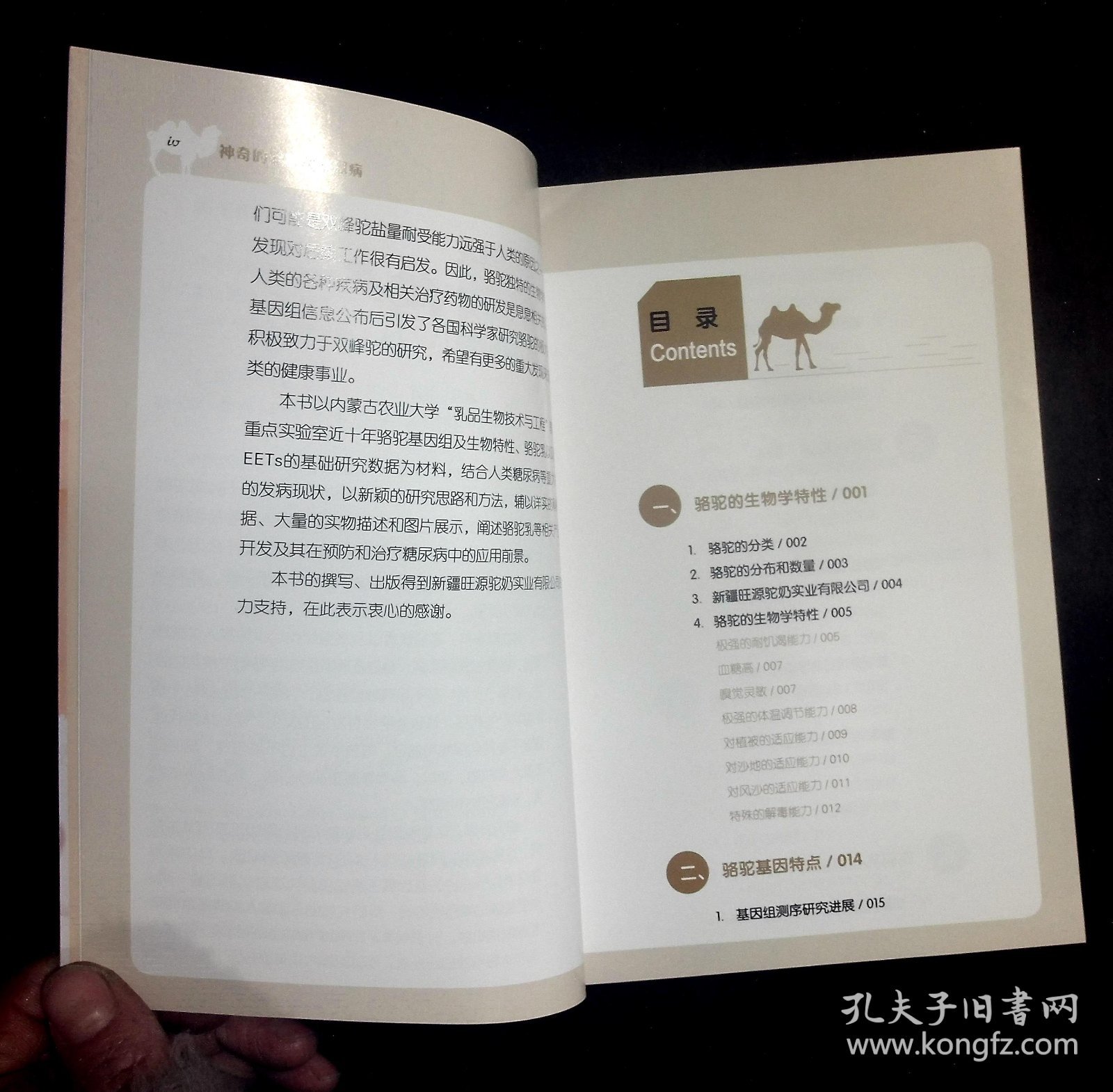 神奇的骆驼与糖尿病