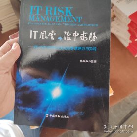 IT风云，险中求胜：商业银行信息科技风险管理理论与实践