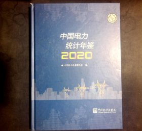 中国电力统计年鉴(2020)(精)