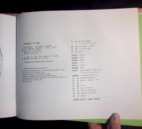 追上那只青蛙