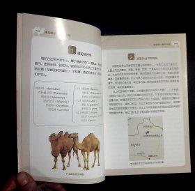 神奇的骆驼与糖尿病