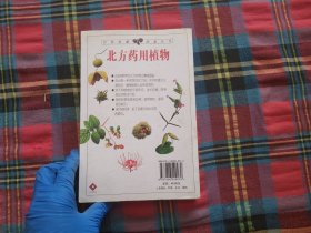 北方药用植物：近600种中国北方药用植物的彩色图鉴