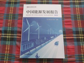 中国能源发展报告：2022 财政金融