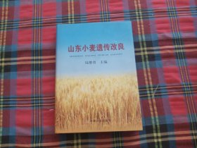 山东小麦遗传改良