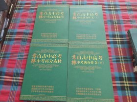 意林直击中高考【全4册】